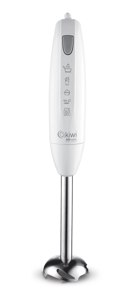 Mixer a immersione 300w