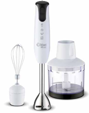 Set frullatore a immersione 500w